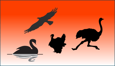 Turkey Swan Ostrich and Eagle.png Turkey Swan Ostrich and Eagle.png