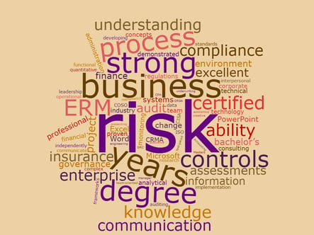 Enterprise Risk Manager Qualifications Word Cloud from LinkedIn Job Posts.jpg