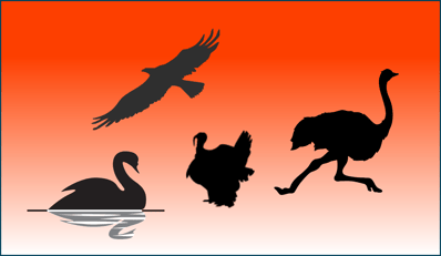 Turkey Swan Ostrich and Eagle.png