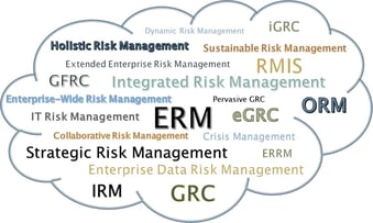 Fog of Risk Terms.jpg